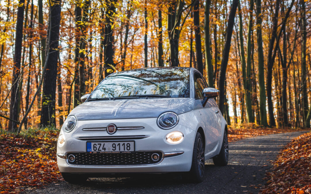 Neue Gebrauchtwagen eingetroffen